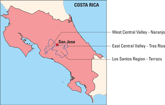 Influencia de Centroamérica en la producción de café