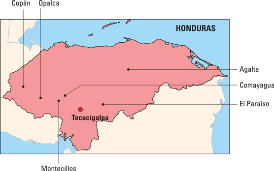 Influencia de Centroamérica en la producción de café