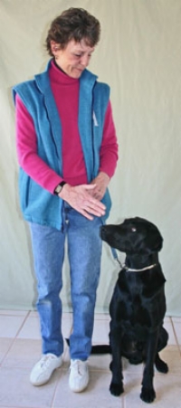 Cómo entrenar a tu perro para que se quede