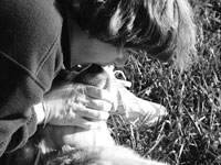 Cómo administrar resucitación cardiopulmonar a su perro