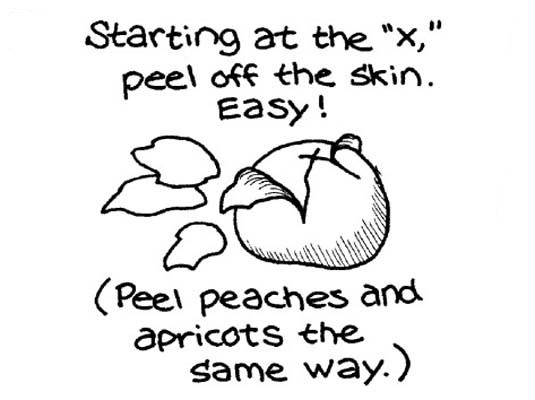 Pelar, sembrar y picar tomates frescos