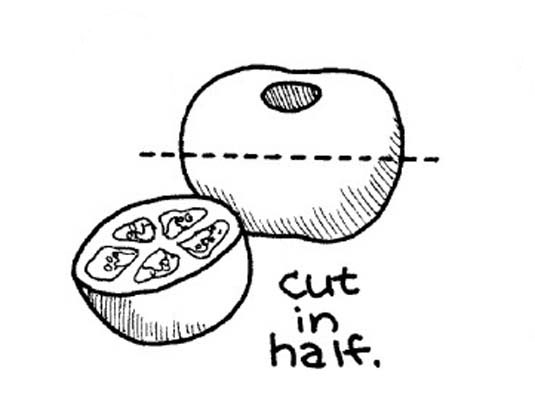 Pelar, sembrar y picar tomates frescos