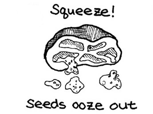 Pelar, sembrar y picar tomates frescos