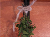 Secar hierbas frescas