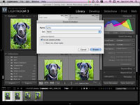 Cómo configurar colecciones de fotos de perros en Lightroom