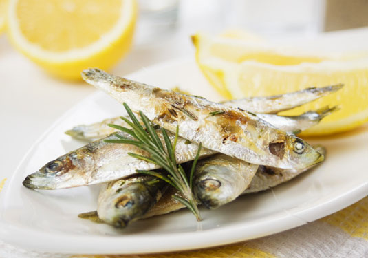 Los 5 tipos de vida marina fundamentales para la dieta mediterránea