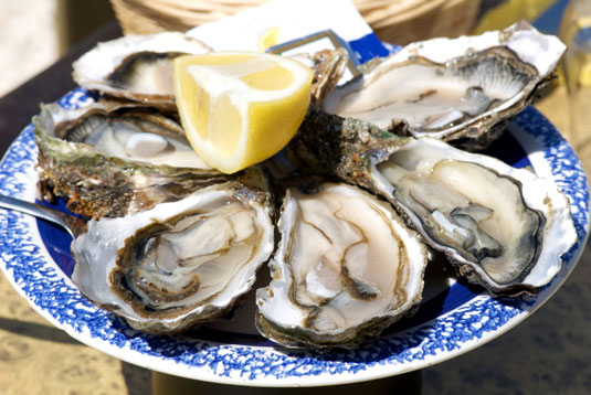 Los 5 tipos de vida marina fundamentales para la dieta mediterránea