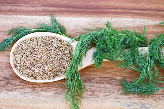 A Taste of the Mediterranean: Top 10 hierbas y especias