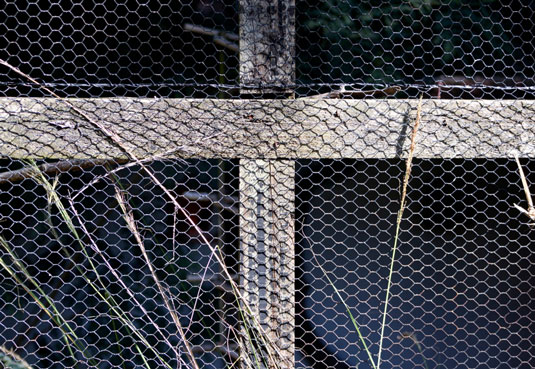 Cómo convertir estructuras existentes en gallineros