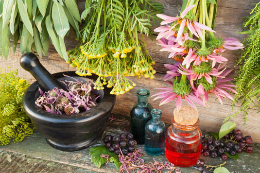 10 ingredientes que fortalecen el sistema inmunológico para hacer jugos y batidos