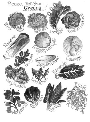 Identificación de lechugas (o verduras suaves)