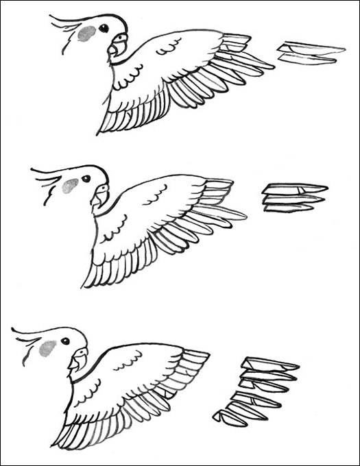 Recortar las plumas de las alas de una cacatúa