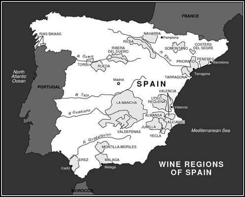 Conociendo Vinos y Regiones Españolas