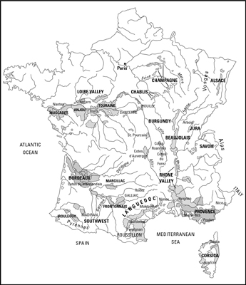 Variedades de uva cultivadas en Francia