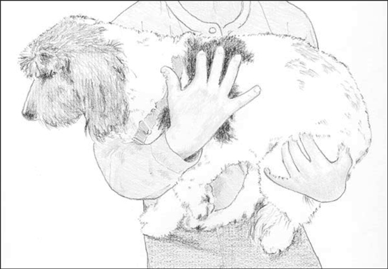 Mani / Pedi Time: How to Clip Dog Nails