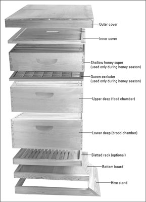 Cómo identificar las partes básicas de madera de una colmena