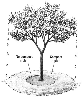 Uso de abono para triturar plantas y árboles