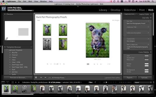 Cargue fotografías de perros en sitios web directamente desde la aplicación de flujo de trabajo