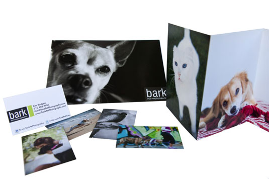Materiales de marketing pagados para su negocio de fotografía de perros