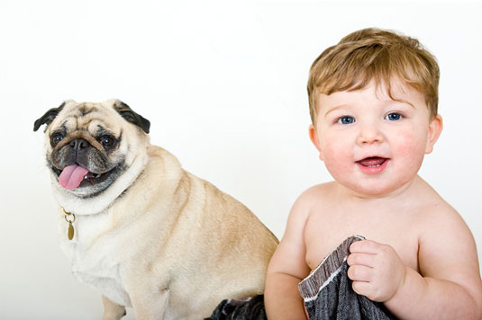 Cómo tomar fotos con perros y bebés