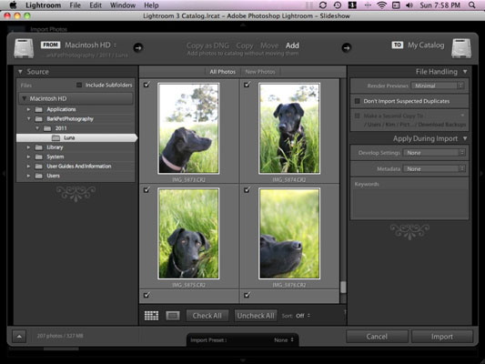Cómo importar las fotos de su perro a Lightroom
