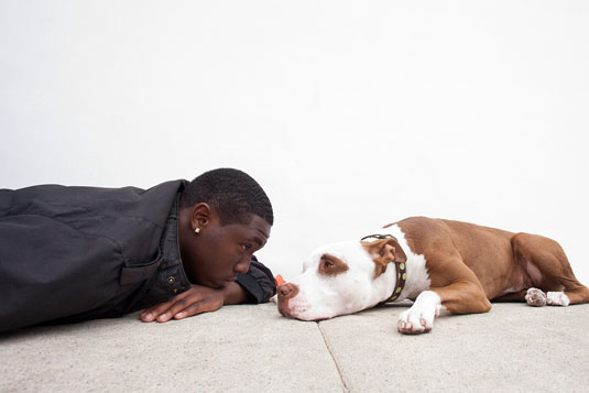 Tome la foto de humanos y perros, cara a cara