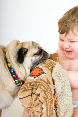 Fotos de fotoperiodismo en fotografía de perros
