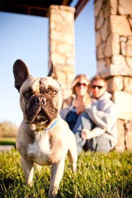 Tomas de ubicación típicas para fotografía de perros