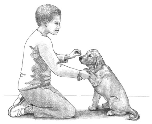 Cómo enseñar algunos trucos básicos para cachorros