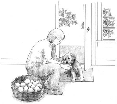 El primer mes de tener un cachorro
