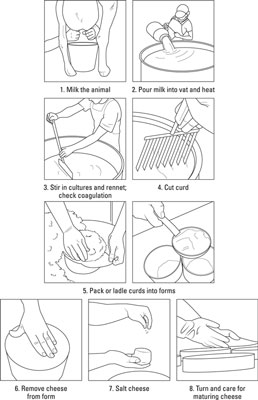 Cómo hacer tu propio queso