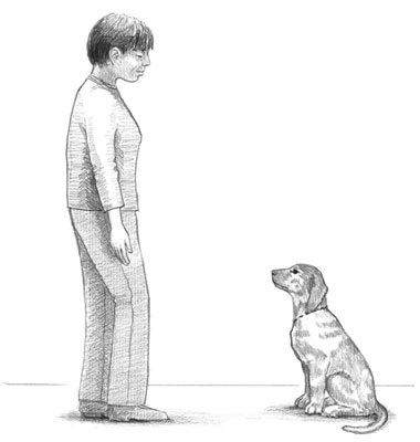 Cómo entrenar a tu cachorro para que no salte sobre los muebles