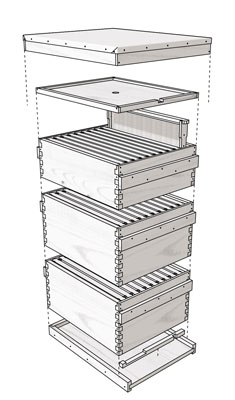 Cómo montar la colmena Langstroth