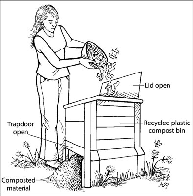 Agricultura urbana: cómo crear fertilizantes compostados