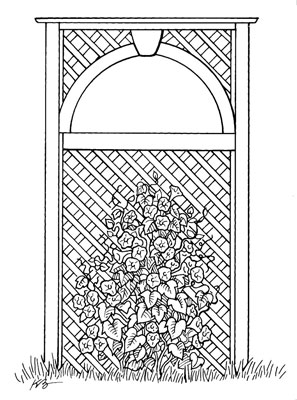 Cómo construir un jardín vertical