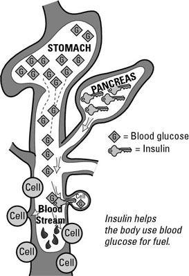 Cómo regular la insulina y la glucosa en sangre con una dieta de bajo índice glucémico