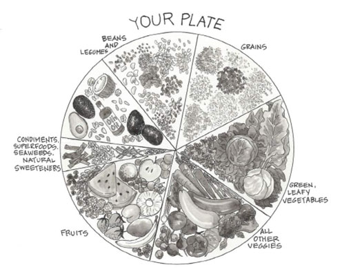 Determinar las proporciones correctas en una dieta basada en plantas