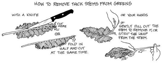 Empiece de forma saludable un buen día con batidos verdes