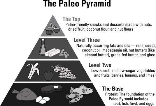 La pirámide Paleo