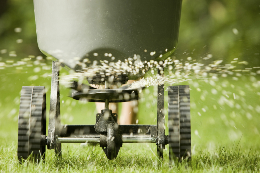 Cuándo fertilizar su césped