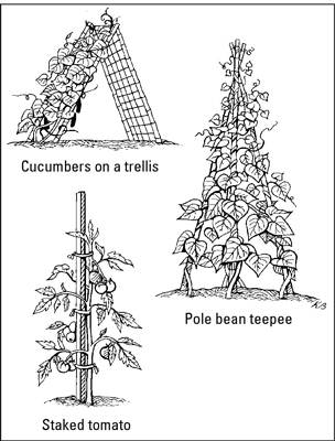 Estacas, enrejados y jaulas de jardín para su jardín comestible