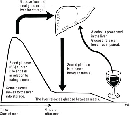 Cómo el alcohol afecta la regulación de la glucosa
