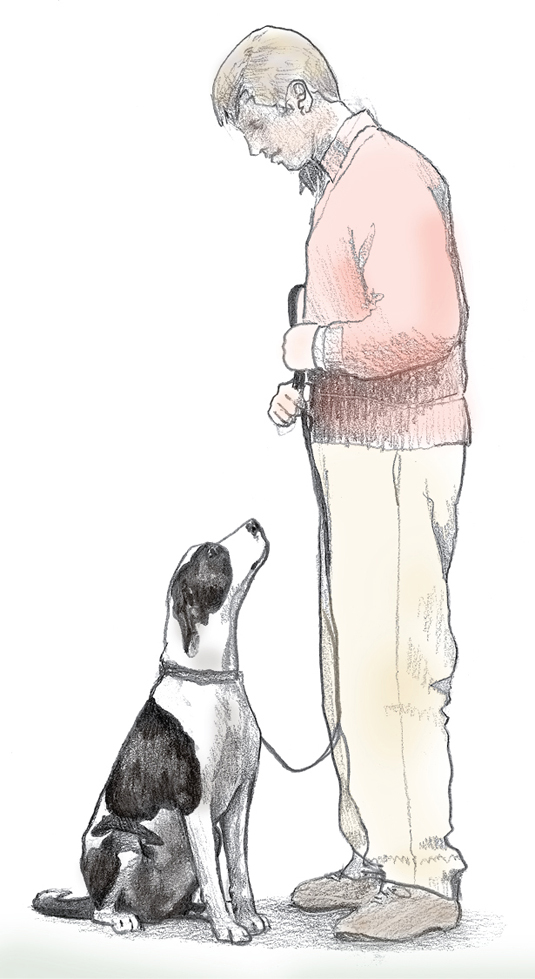 Una colección de imágenes de Canine Good Citizen Test In A Day For aFamilyToday