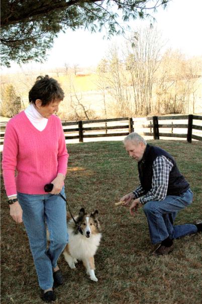 Una colección de imágenes de Canine Good Citizen Test In A Day For aFamilyToday