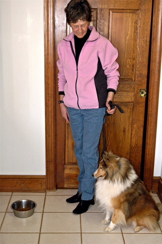 Una colección de imágenes de Canine Good Citizen Test In A Day For aFamilyToday