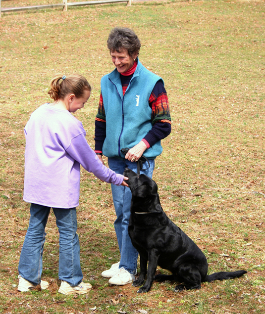 Una colección de imágenes de Canine Good Citizen Test In A Day For aFamilyToday