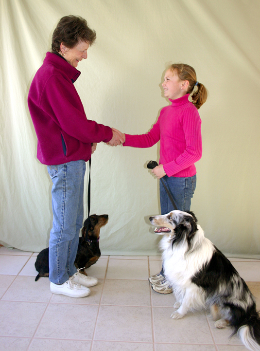 Una colección de imágenes de Canine Good Citizen Test In A Day For aFamilyToday